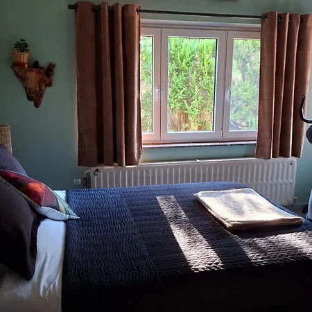 民宿 